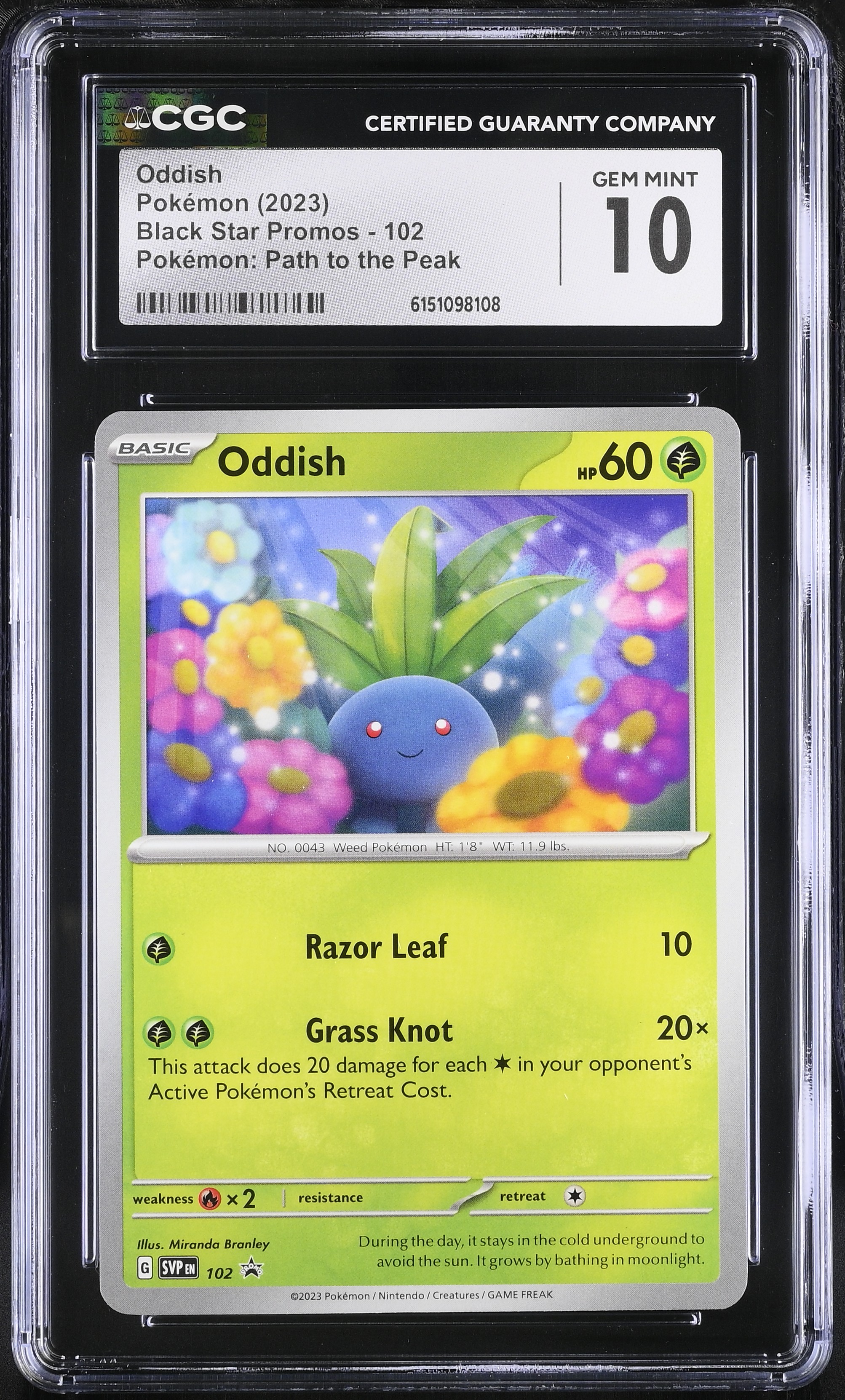 2023 Pokemon Black Star Promos Oddish Pokemon: Path to the Peak English