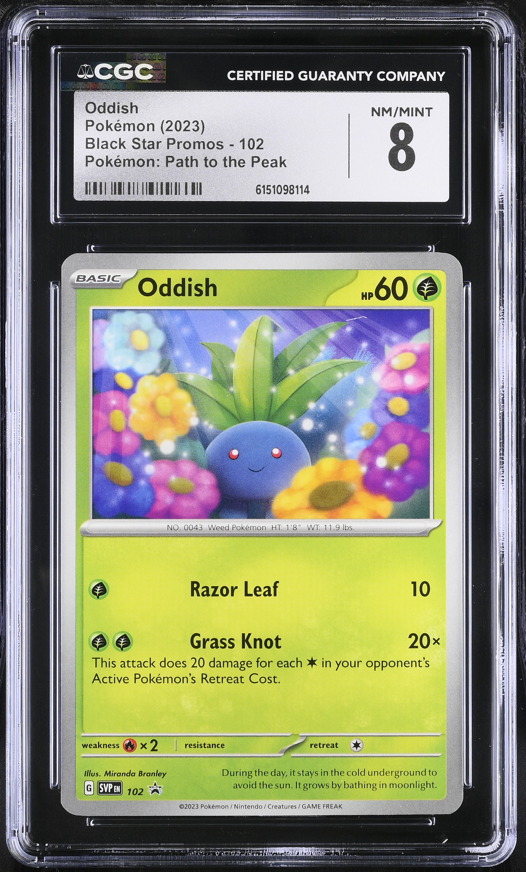 2023 Pokemon Black Star Promos Oddish Pokemon: Path to the Peak English