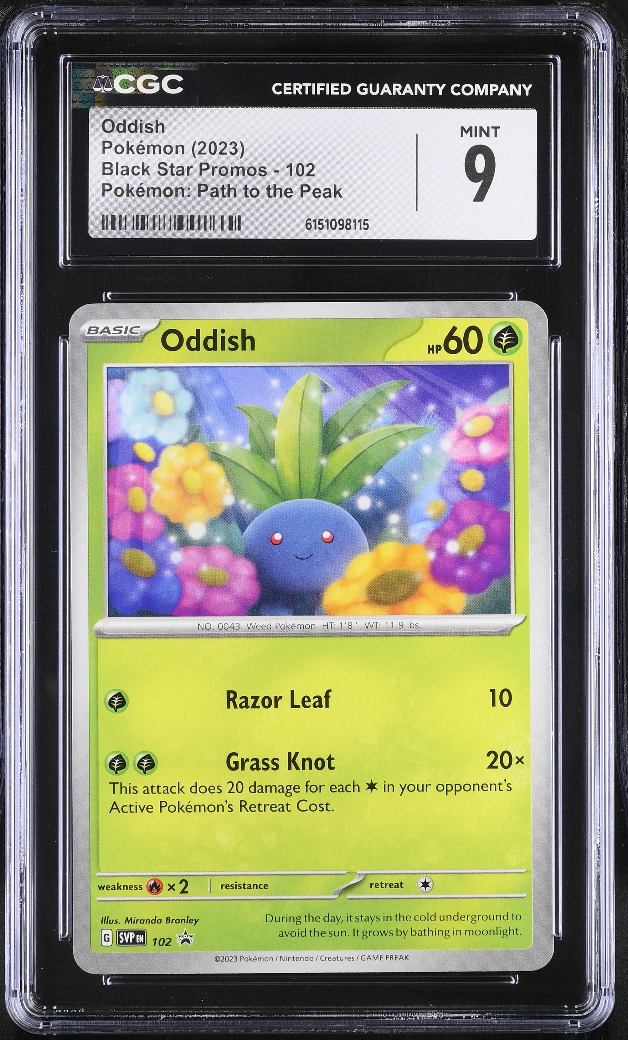2023 Pokemon Black Star Promos Oddish Pokemon: Path to the Peak English