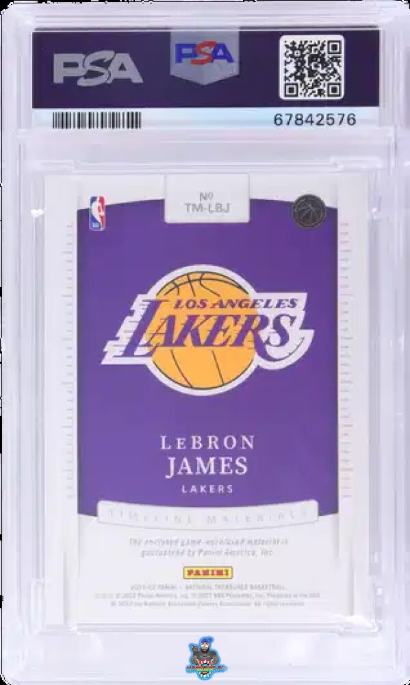 Back of 2021 National Treasures Timeline Materials Super Prime LeBron James #11 /1