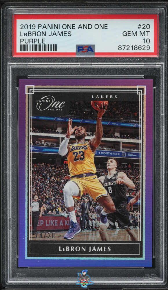 2019 Panini One and One Purple LeBron James #20 /20