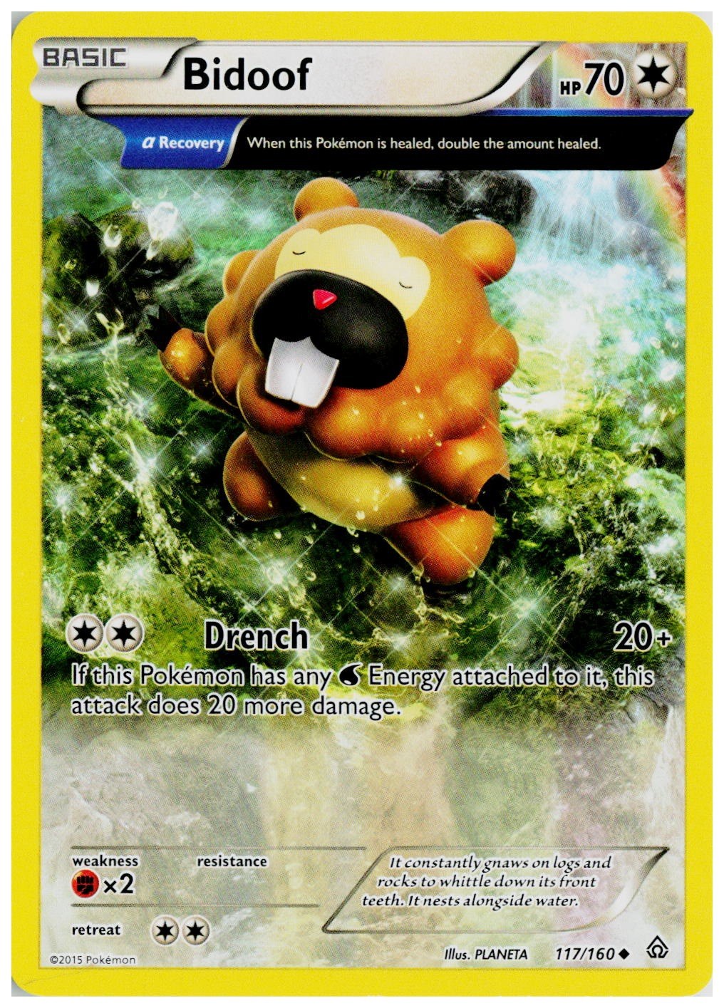 2015 Pokemon XY - Primal Clash #117 Bidoof (Alpha)