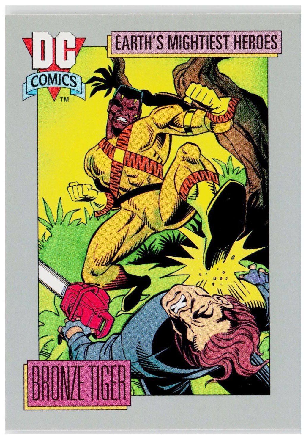 1992 Impel DC Cosmic #39 Bronze Tiger